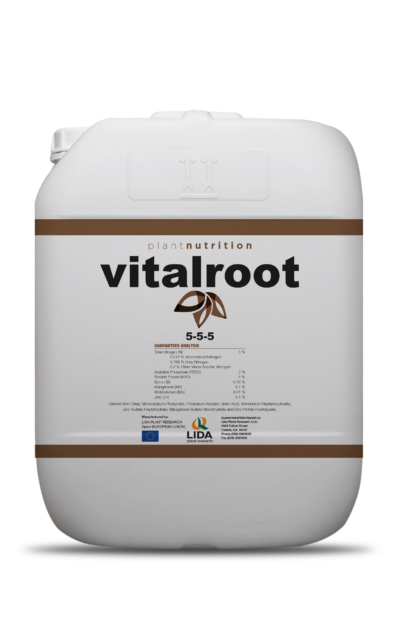 VITALROOT